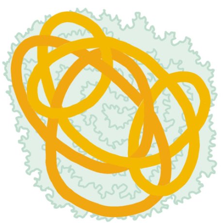orange_knot